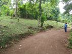 Land for sale Matale