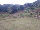 Land for sale Matale