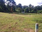 Land for sale Matale