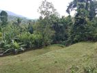 Land for sale Matale