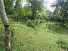 Land for sale Matale