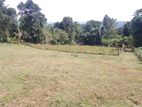 Land for sale Matale