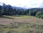 Land for sale Matale