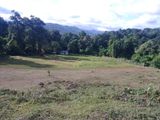 Land for sale Matale