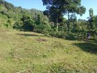 Land for sale Matale