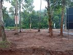 Land for Sale Matale