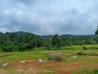 Land for Sale Matale