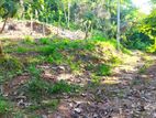 Land for Sale - Matale