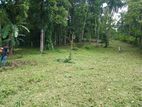 Land for Sale Matale