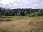 Land for Sale Matale