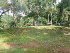 Land for Sale Matale