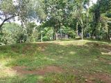 Land for Sale Matale