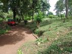 Land for sale Matale