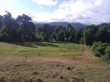 Land for sale Matale