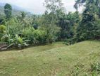 Land for Sale Matale