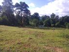 Land for sale Matale