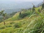 Land for Sale Matale