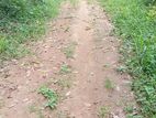 Land for Sale Matale