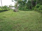 Land for sale Matale