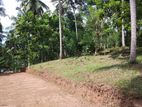 land for sale Matale