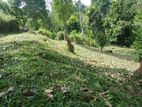 Land for Sale Matale