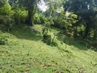 Land for Sale Matale