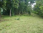 Land for Sale Matale