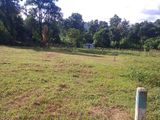 Land for sale Matale