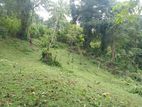 Land for sale Matale