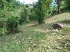 Land for sale Matale