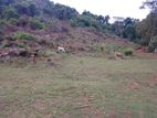 Land for sale Matale