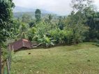 Land for sale Matale