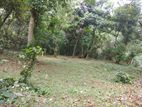 Land for sale Matale