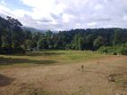 Land for Sale Matale