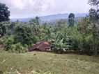 Land for Sale Matale