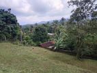 Land for Sale Matale Oyapahala