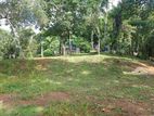 Land for sale Matale Oyapahala