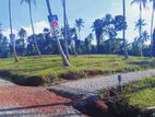 Land For Sale Matale( Palapathwala🌿)