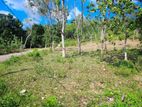 Land for Sale Matale-Rattota