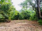 Land for Sale Matale Thotagamuwa