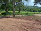 Land for Sale Matale Town Kanangamuwa