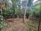 Land for Sale Matale, Aluvihare