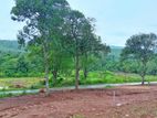 Land For Sale Matale,Kanangamuwa Rattota Road (Riverston road🌿)