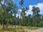 Land For Sale Matale,Nalanda(A9 Road)