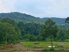 Land for Sale Matale,riverston Road