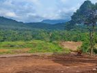 Land for Sale Matale(Riverston Road)