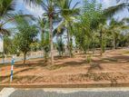 Land for Sale Matara