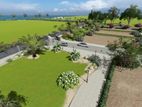 Land for Sale Matara