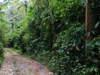 Land for Sale Matara