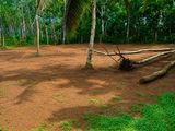 Land for Sale Matara